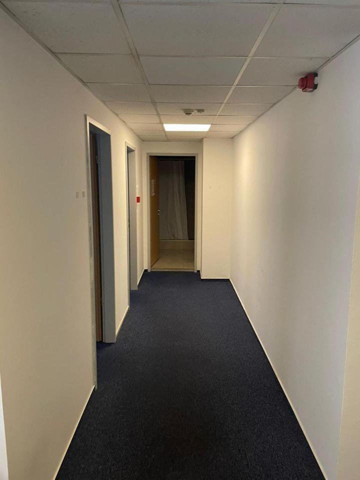 Viola Hostel Budapešť Exteriér fotografie